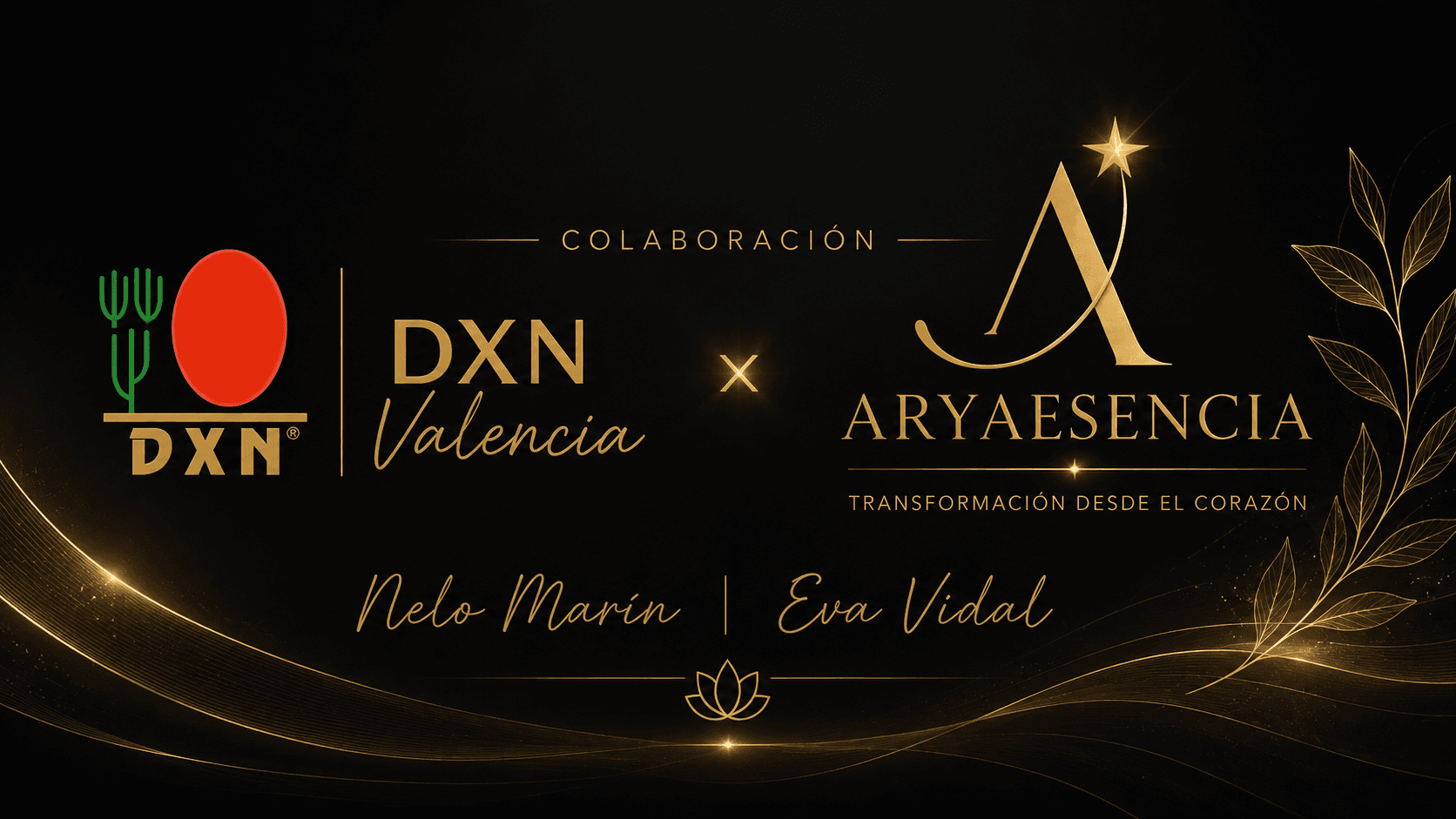 Bienestar Holístico DXN Valencia: Sinergia de Nutrición y Sanación Energética